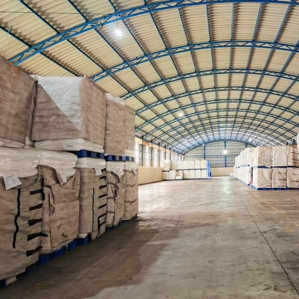 Truss Gable Shed - TGS31102